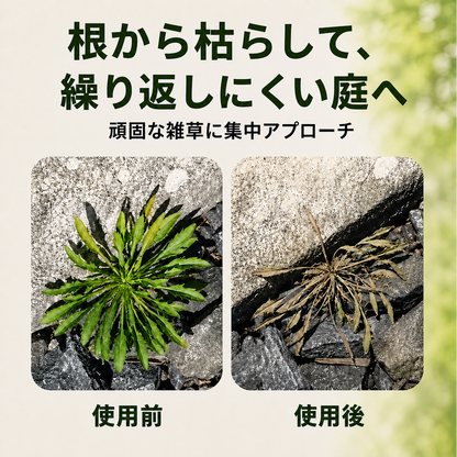 雑草対策の使用前と使用後
