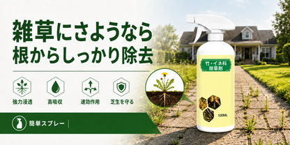 雑草にさようなら 根からしっかり除去